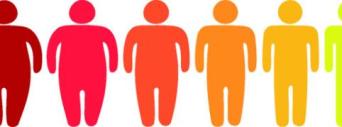 Cresce população obesa e País já é vice-líder global em cirurgias bariátricas